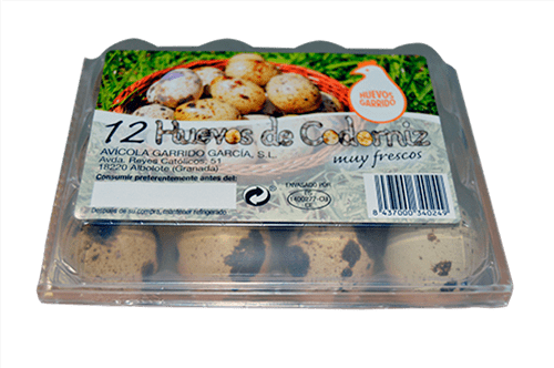 Egg (500x332), Png Download