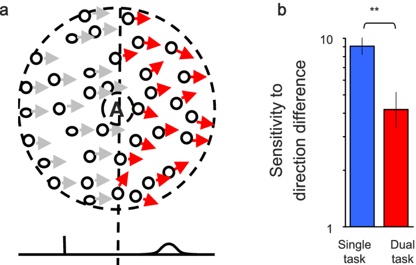 Schematic Diagram Of The Rdk Used In Experiment - Diagram (850x541), Png Download