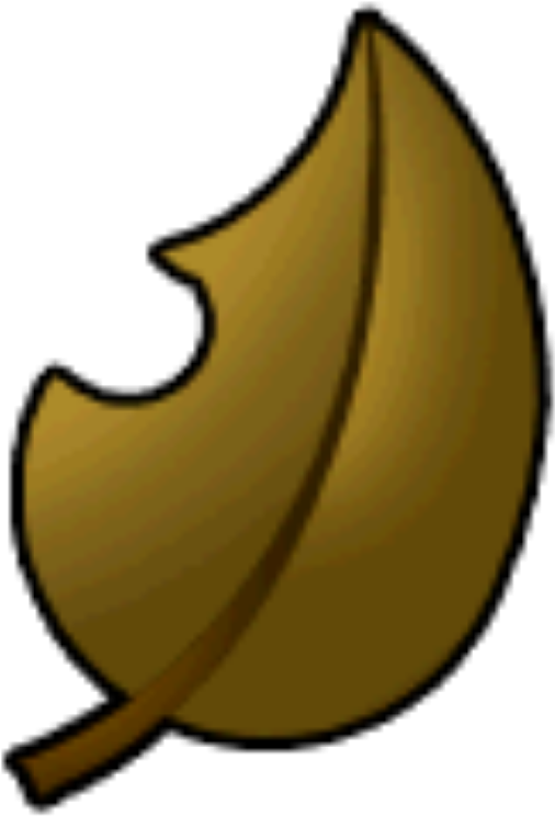 Leaf Cup Logo - Logo (800x800), Png Download