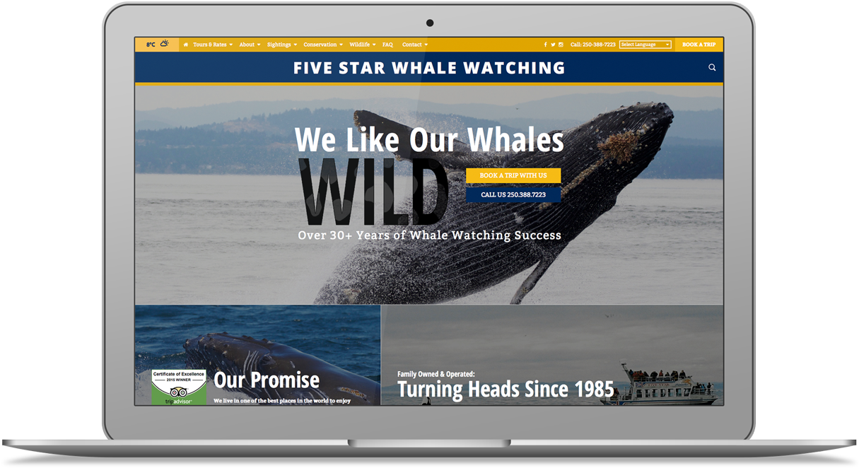 Macbook Mockup Web Victoria Design Foe Creative - Ocean (1300x784), Png Download