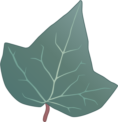 Ian Symbol Hedera Helix Leaf - English Ivy Leaf (386x400), Png Download