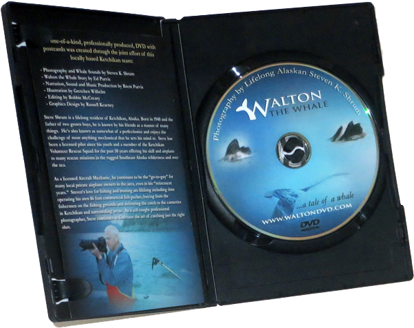Qrs Software Services Understands How Important Cd/dvd/blu-ray - Keep Case (700x497), Png Download