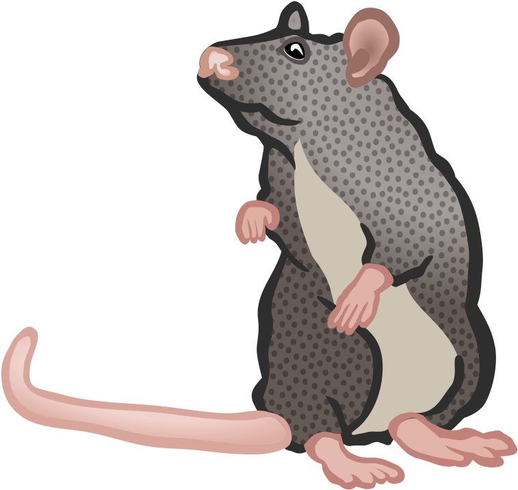 Free Download Mouse Clipart Rat Rodent Clip Art - Ratte Clipart (800x775), Png Download