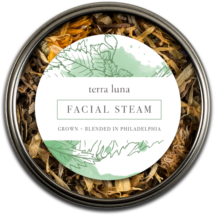 Terra Facial (1000x1000), Png Download