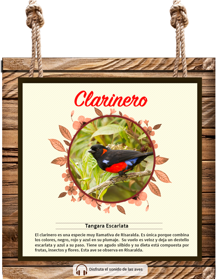 Your Browser Does Not Support The Audio Tag - Twisted Envy F Floral Letter Border Initial Mini Spa (747x918), Png Download