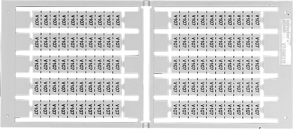 2 1/4" X 6" Persian Liner (1000x990), Png Download