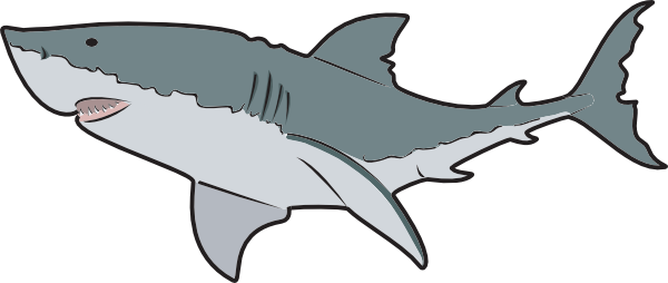 Animal, En, Fish, Ocean, Ocean Animals - Great White Shark Mugs (600x254), Png Download