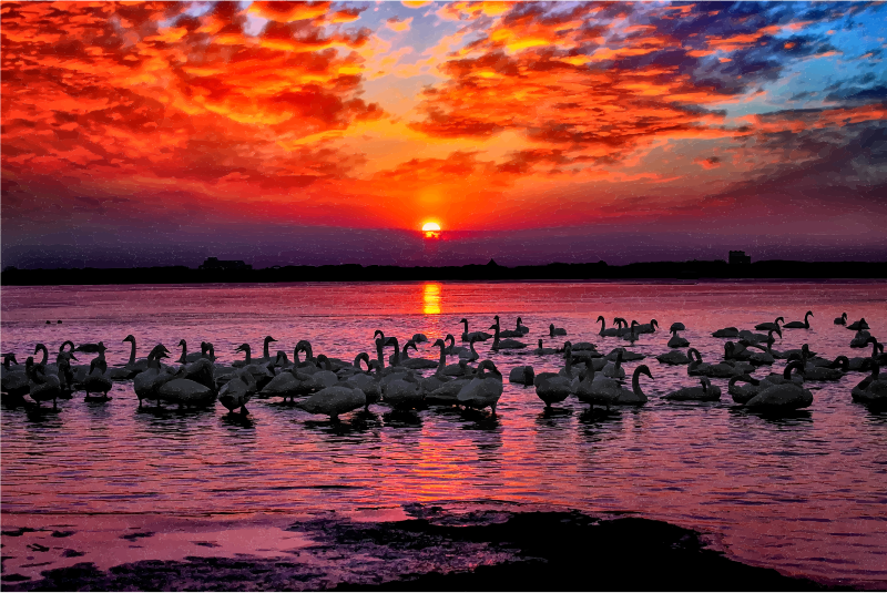 Medium Image - Sunset (800x535), Png Download