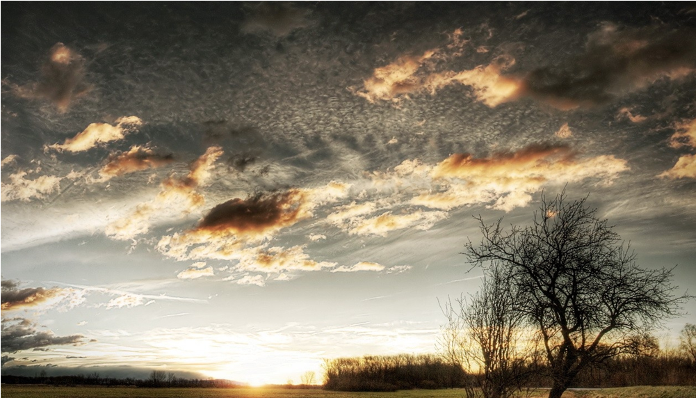 Keyring Clouds Sky Field Grass Tree Sun 6350 (1000x1000), Png Download