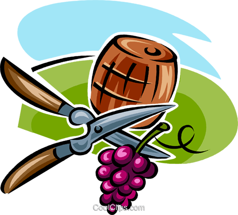 Grapes, Shears And A Wine Barrel Royalty Free Vector - Vineyard Workers Clip Art (480x434), Png Download