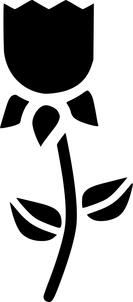 Png File - Plant Ecology (432x980), Png Download