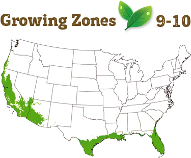 Shipping Restriction - Transparent Us Map Clear (400x322), Png Download