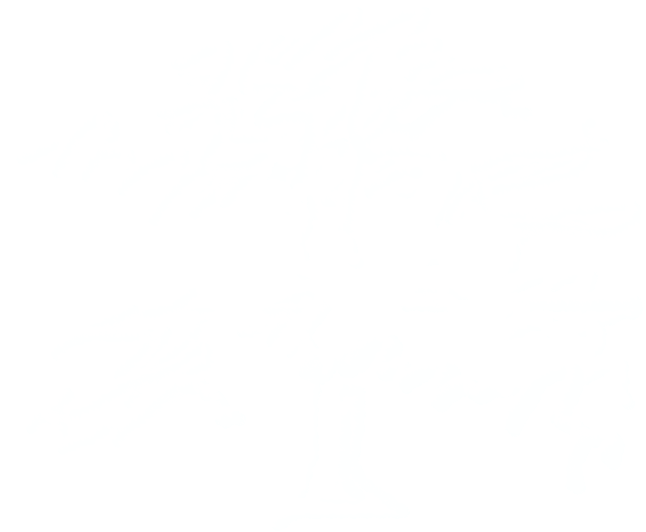 Nottingham Tree-ring Dating Laboratory - Hyatt Regency Logo White (645x560), Png Download