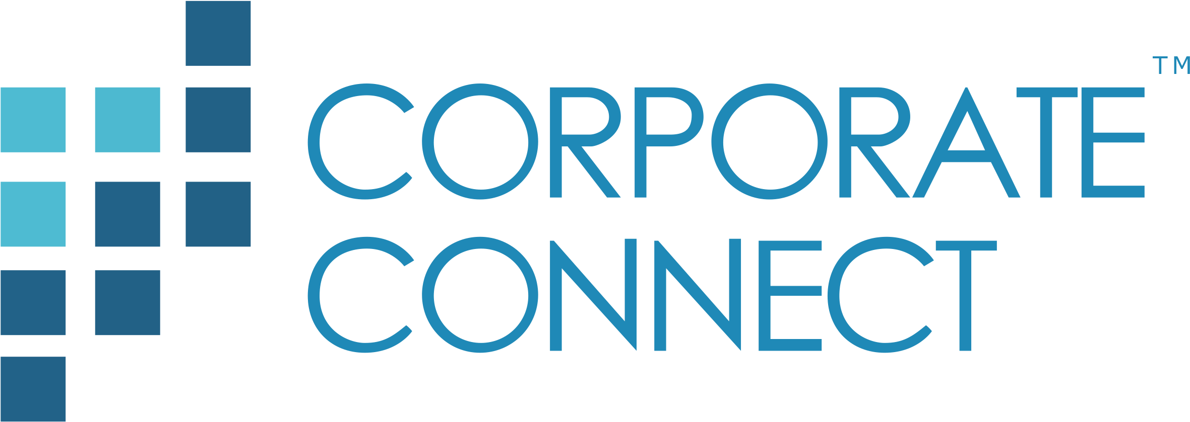 Digital Media, Corporate Profiles, Networking, Marketing, - The Trout Group Llc (2535x973), Png Download