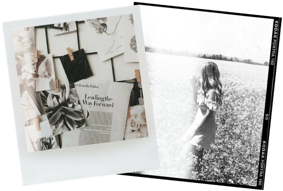 If Anyone Has Ever Used Unfold The App That Allows - Photograph (576x384), Png Download