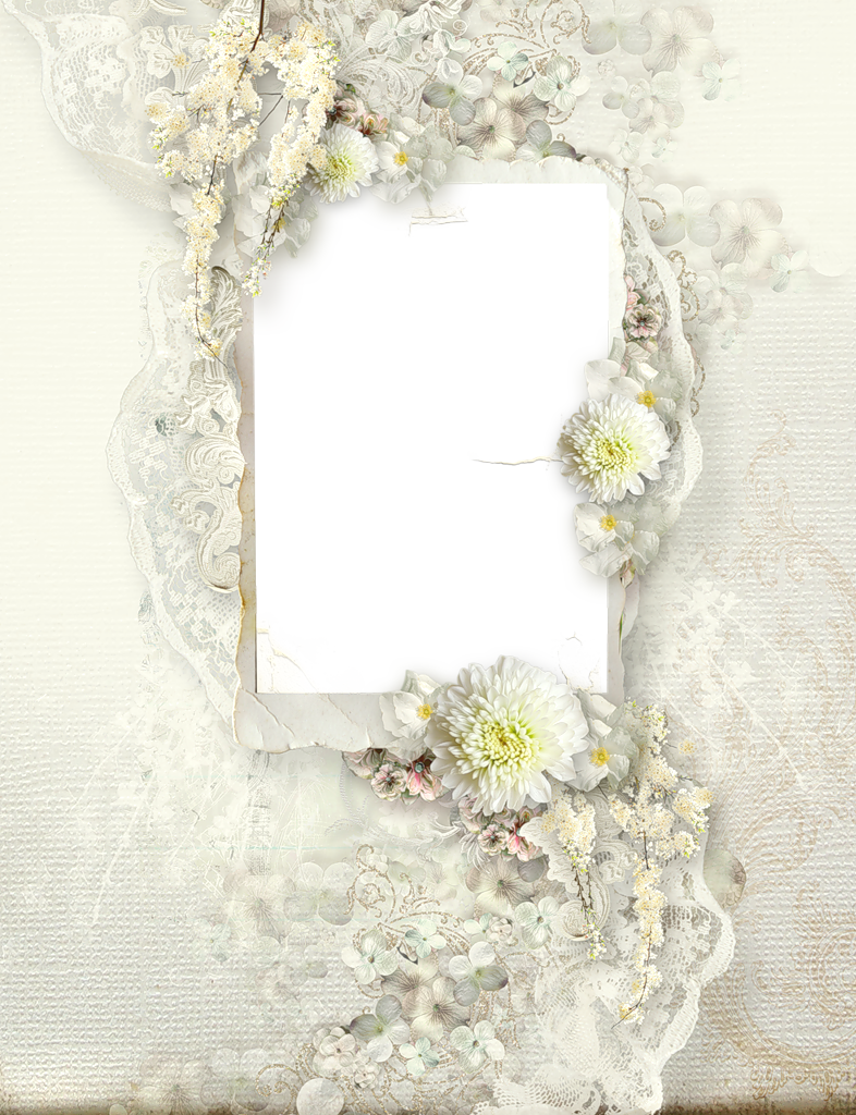 Transparent Delicate Cream Wedding Frame - Picture Frame (786x1024), Png Download