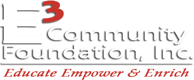 Chesapeake-virginia Beach Delta Foundation - Graphics (690x285), Png Download