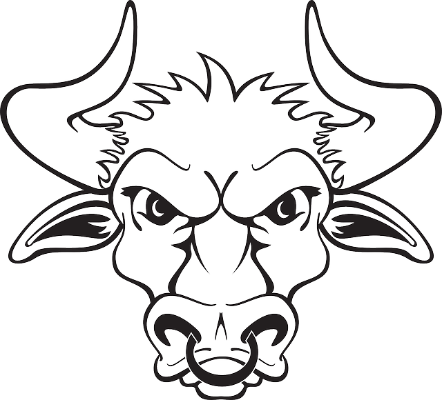 Head, Outline, Bull, Ring, Sharp, Nose, Horns, With - Bull Head Clipart Black And White (640x580), Png Download