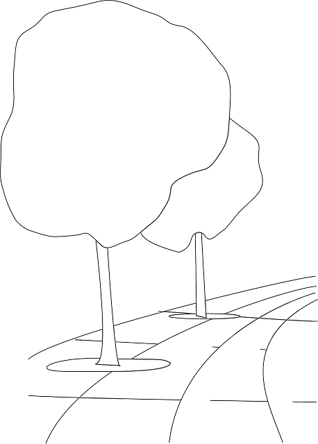 City, Outline, Street, Pavement, Trees, Tree - Street (458x640), Png Download