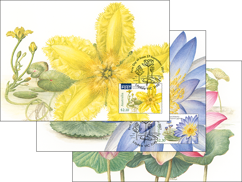 Set Of Three Water Plants Maxicards (800x600), Png Download