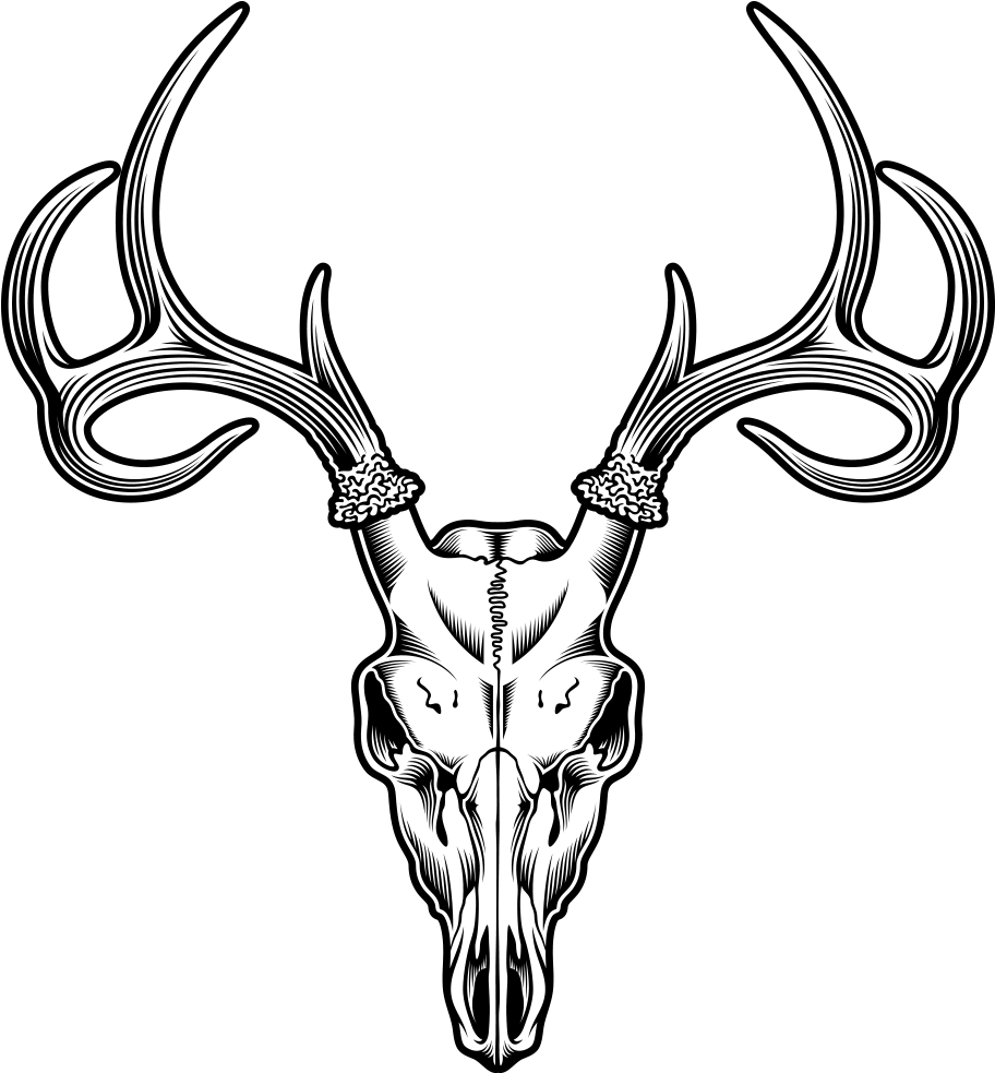 Deer Skull Drawing Illustration - Deer Skull Vector Png (1181x1181), Png Download