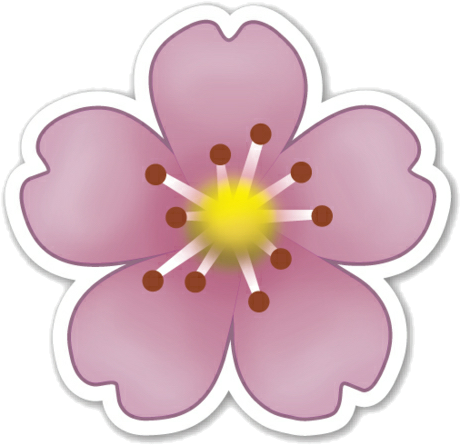 Whatsapp Flower Png (480x465), Png Download