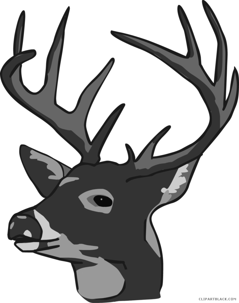 Picture Stock Clipart Deer Head - Deer Head Clipart (793x1007), Png Download