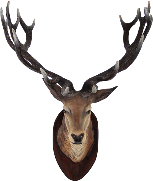 Deer Head Transparent Png - Deer Head Transparent (640x640), Png Download