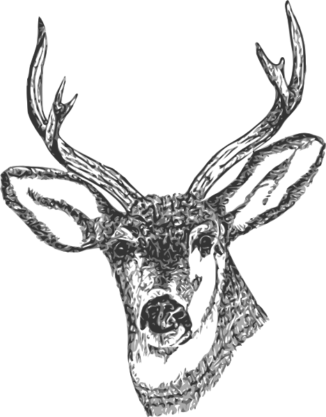 Deer Png (468x598), Png Download