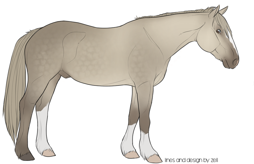 Pastel Rainbow With A Little Extra Purple Or Shades - Stallion (1100x703), Png Download