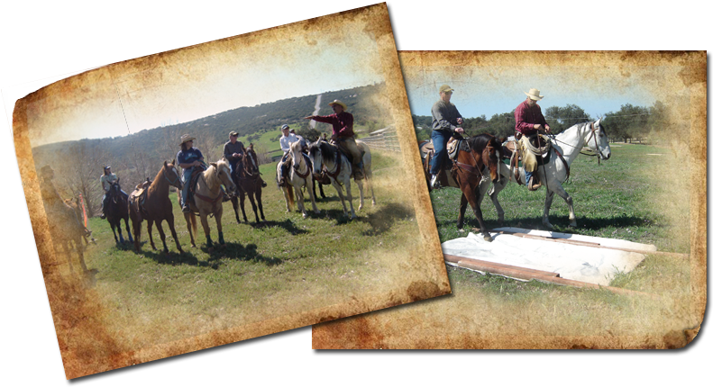 Specializing In Trail Riding And Competitive Ranch - Horse Training (801x441), Png Download