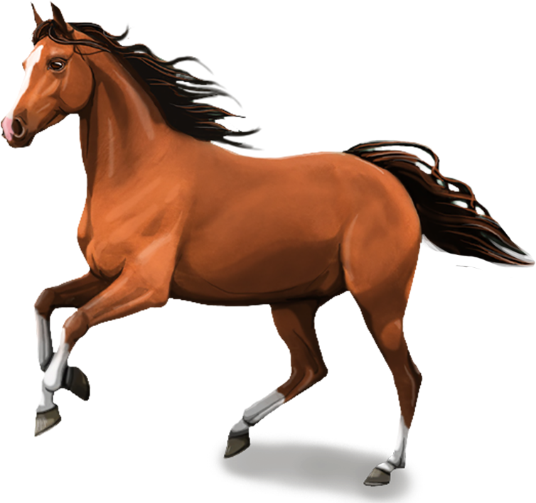 And While Doing This You Learn How To Care For Your - Horse Image In Png (753x750), Png Download
