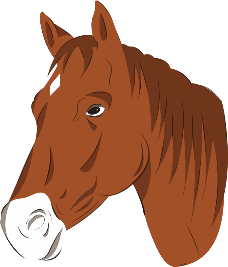 Graphic Transparent Library By Faunafay On Deviantart - Horse Head Vector Png (821x972), Png Download