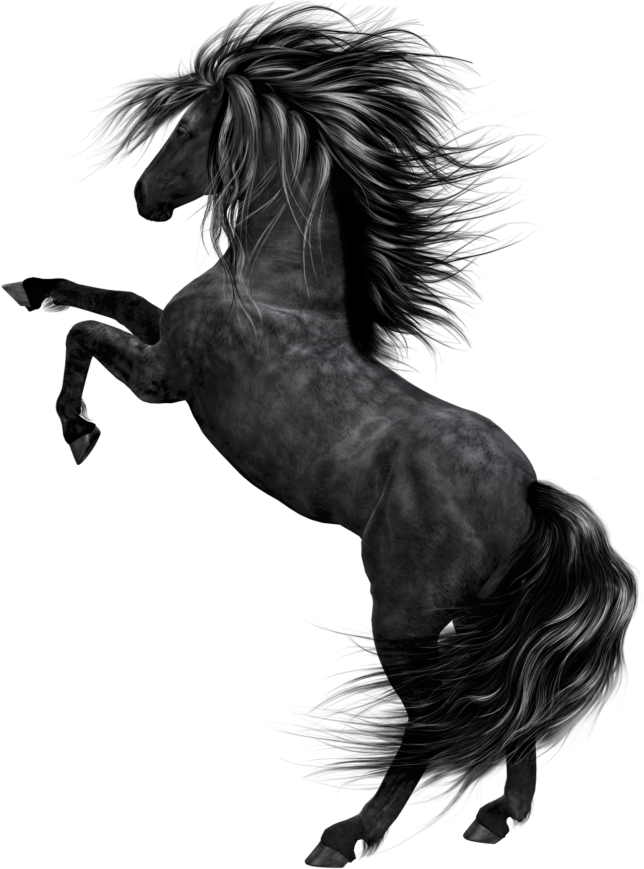 Stallion Clipart Black Horse - Black Horse Png Hd (1357x1750), Png Download