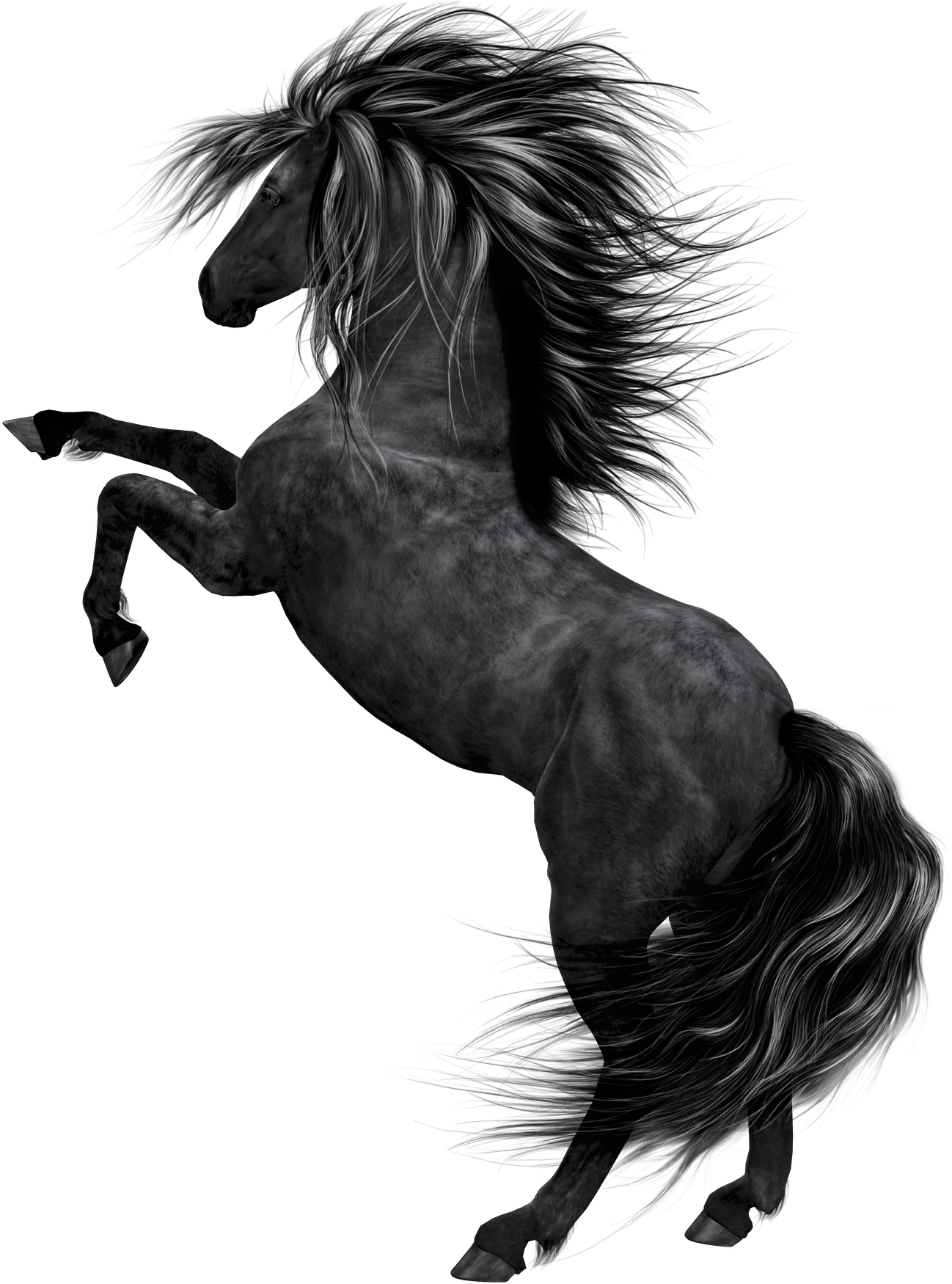 Download Stallion Clipart Black Horse Black Horse Png Hd PNG Image
