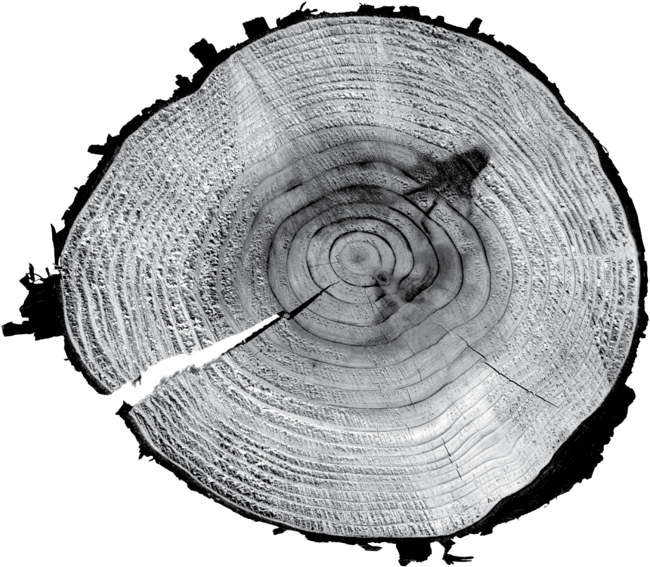 Circle (1024x862), Png Download