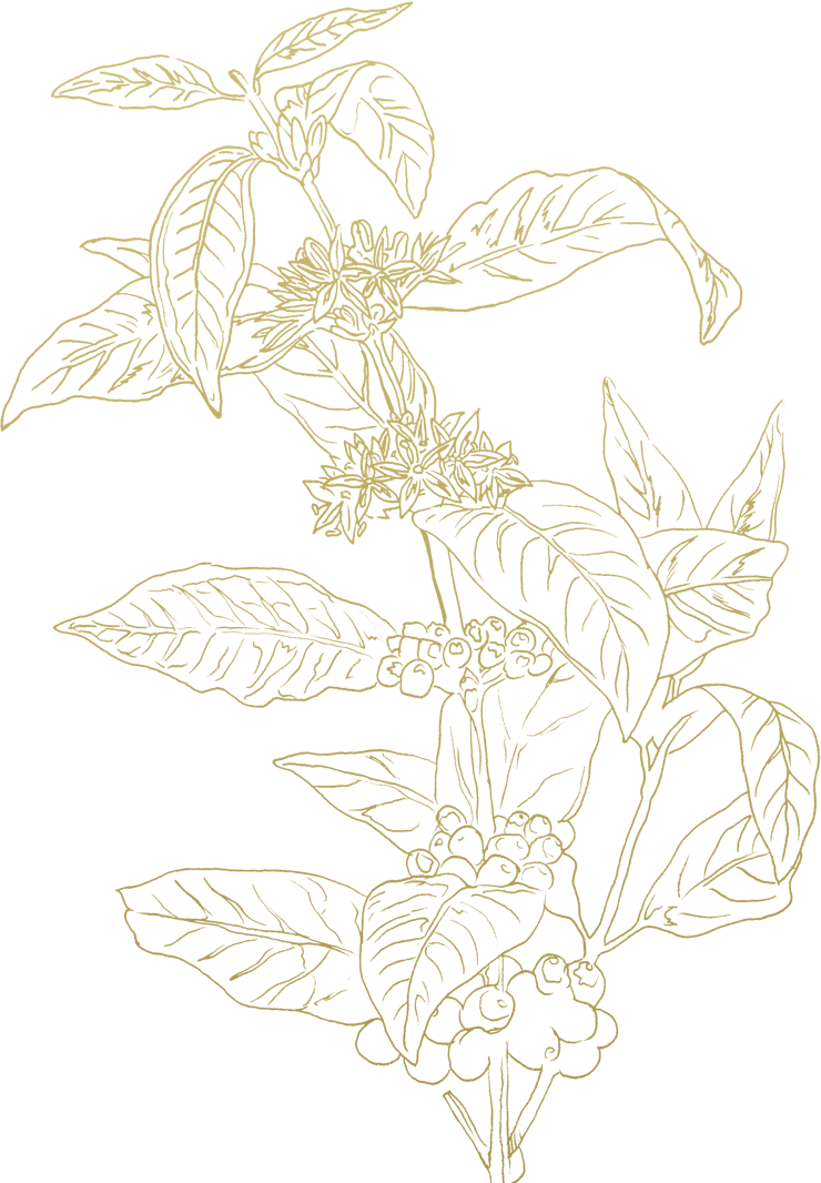 Sketch (740x1066), Png Download
