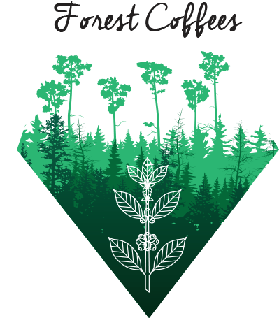 download a new belco s venture cafe de foret png image with no background pngkey com pngkey