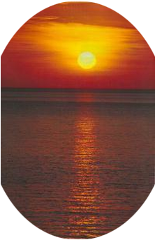 Circle (381x489), Png Download