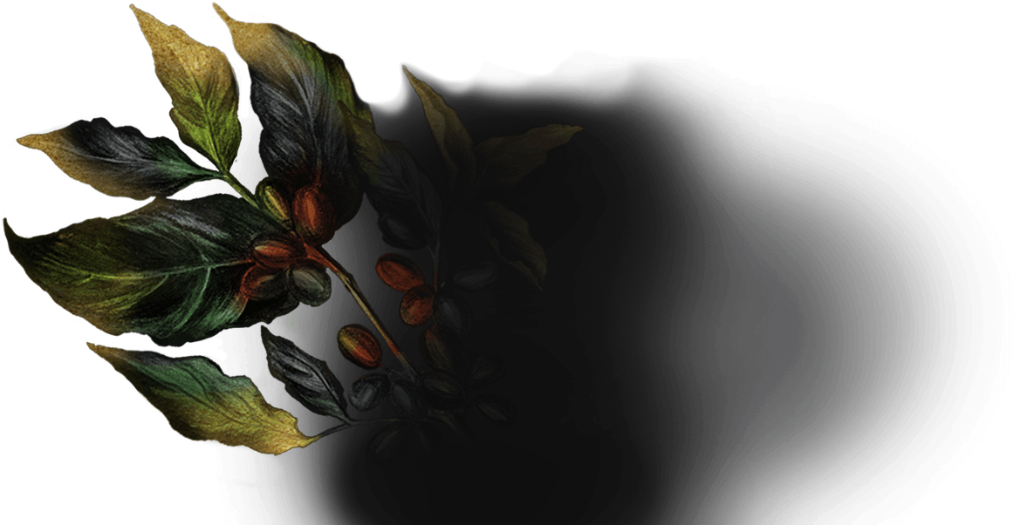 The Spirit Of Coffee - Macro Photography (1920x610), Png Download