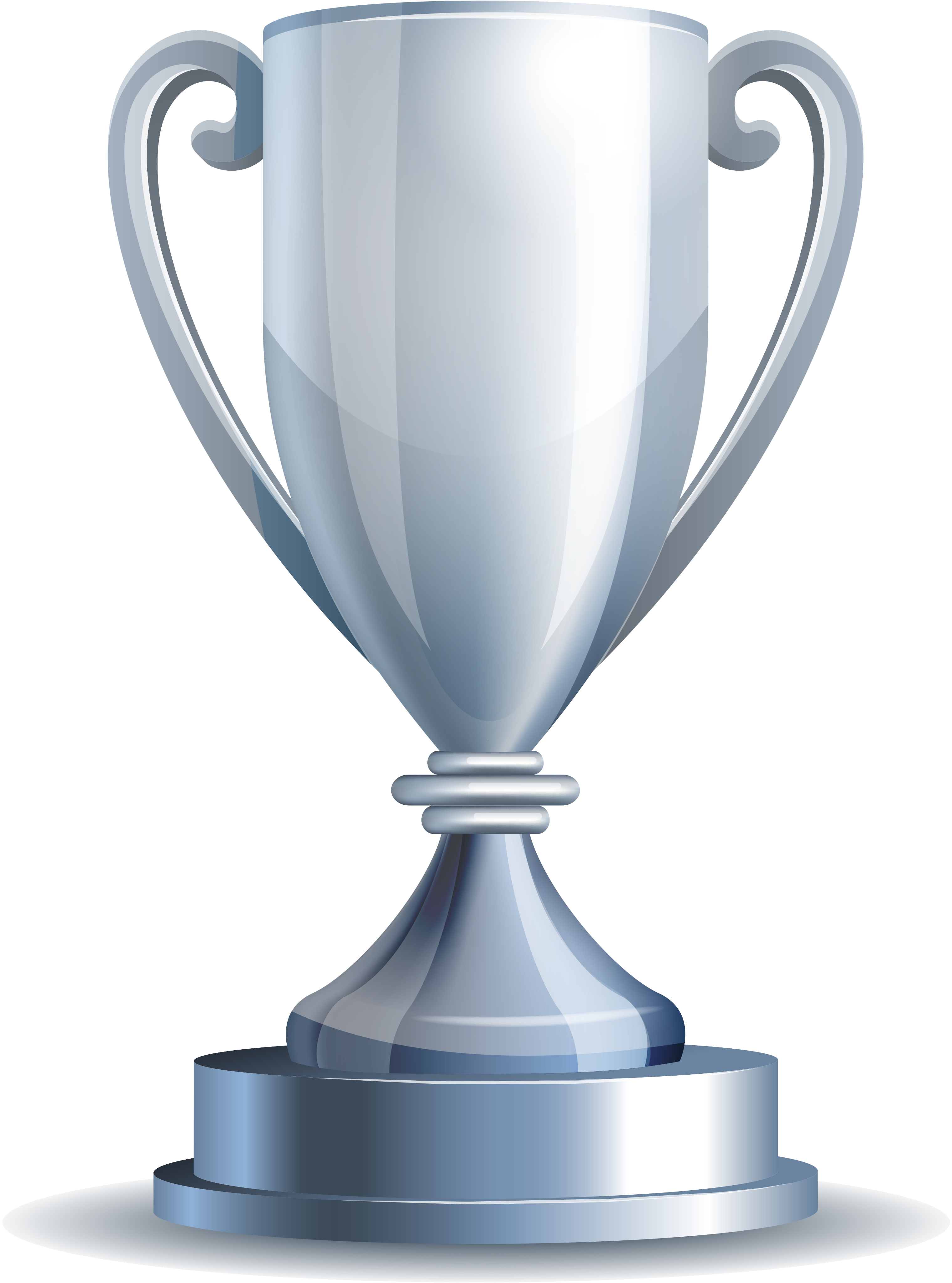 Gokhale Memorial Girls School Participants - Gold Silver Bronze Trophy (3420x4521), Png Download