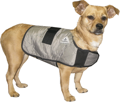 Hyperkewl™ Evaporative Cooling Dog Coat - Techniche 8529xlsilver Xl Hyperkewl Evaporative Cooling (400x340), Png Download