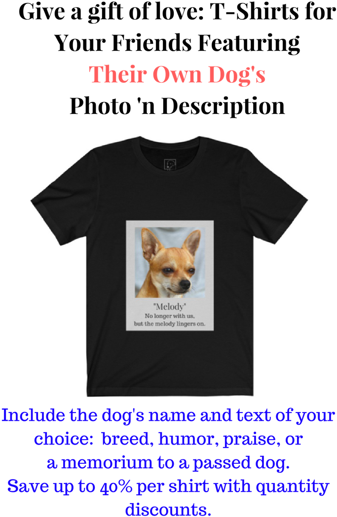 With Dog Podium's "dog Bust Ers" Service, You Can Gift - Nurturing The Secret Garden: A Guide To Reading Mastery (735x1102), Png Download