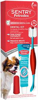 51078 Img P004905 1 Web Med - Petrodex Dental Kit For Dogs - Peanut Butter Flavor: (322x377), Png Download