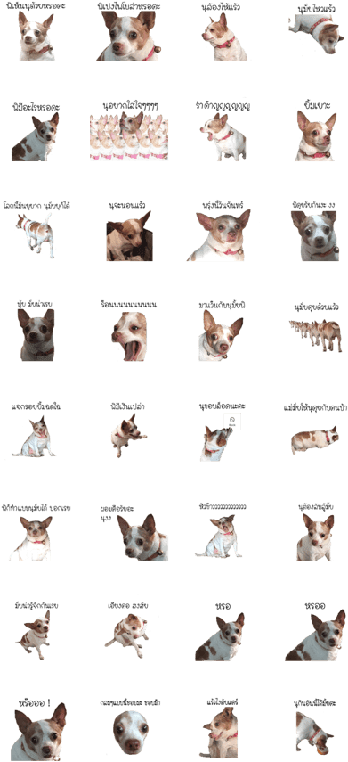 Lookchin Is A Cool Dog Ever - Siamese (420x897), Png Download