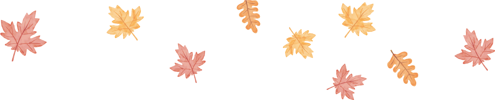 Orange Leaves-01 - Maple Leaf (2048x444), Png Download