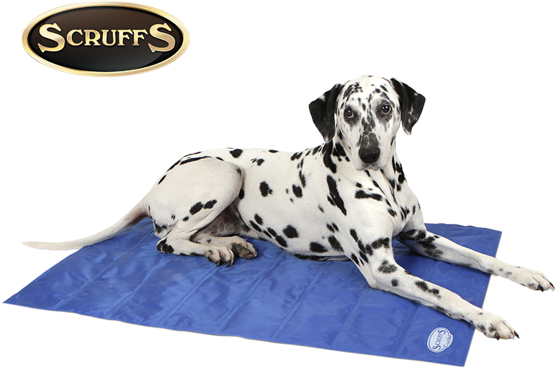 Cooling Mat - Scruffs Cool Mat, Large, Cyan/navy (1000x810), Png Download