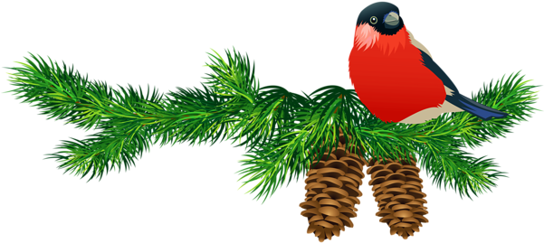 Go To Image - Pine Branches Clip Art (600x312), Png Download