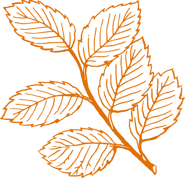 Dark Orange Leaves Clip Art At Clker - Leaves Clip Art (600x579), Png Download