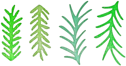 Cheery Lynn Dies - Cheery Lynn Designs B146 Pine Branches (500x500), Png Download